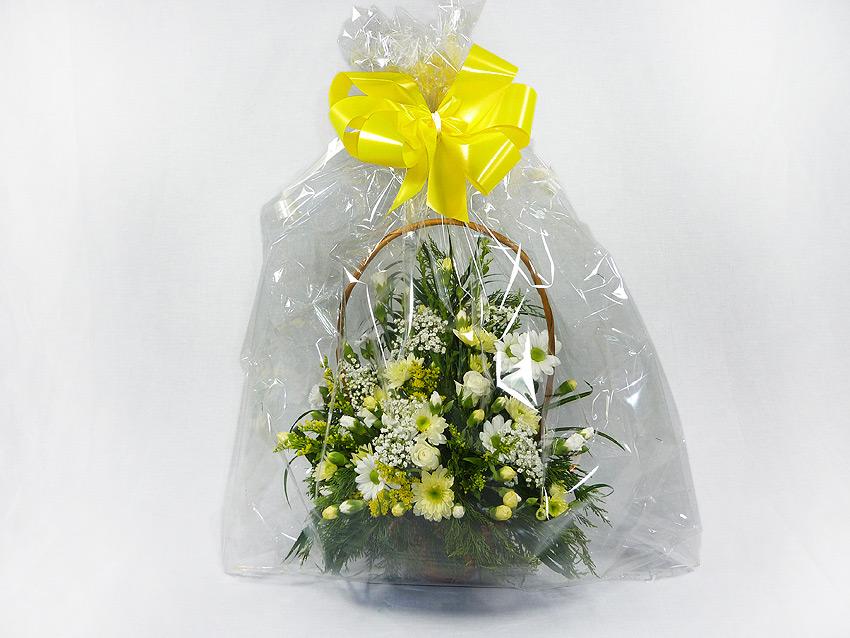 Lemon Pop Basket